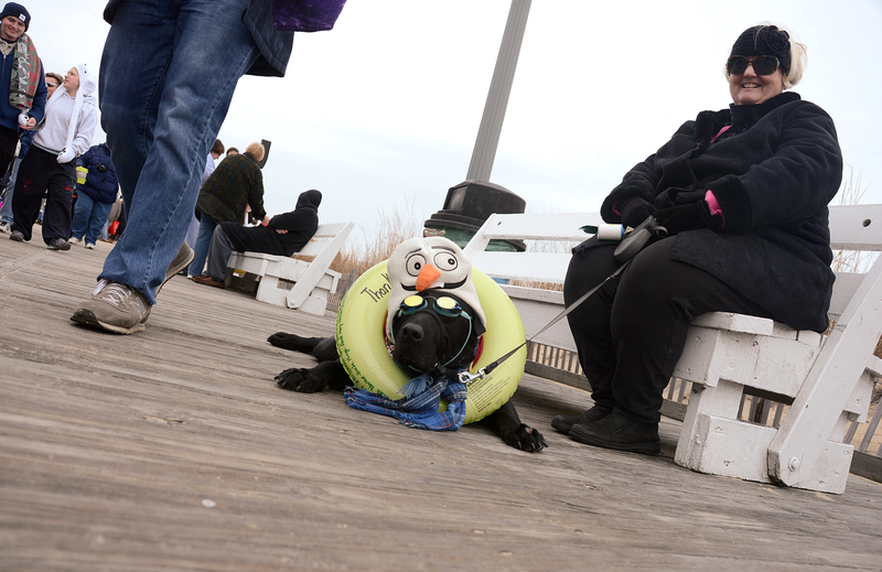 Lewes Polar Bear Plunge sets record in Rehoboth Cape Gazette